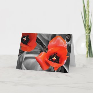 Red Tulip, card