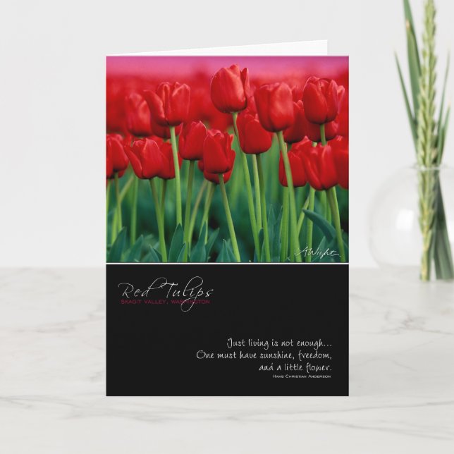 Red Tulip Card with Quote (Front)
