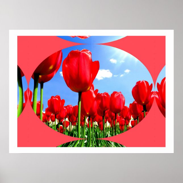 Red Tulip Delight Poster (Front)