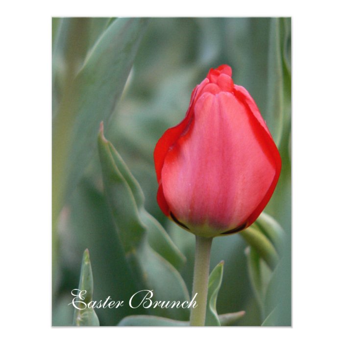 Red Tulip Easter Brunch Invitations