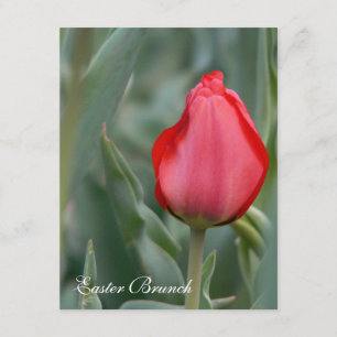 Red Tulip Easter Brunch Invitations