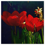 Red Tulip Fabric