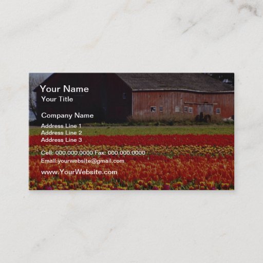 Customizable Red Tulip farm, Mt. Vernon, Washington flowers Business Cards