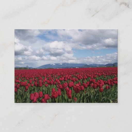 Customizable Red Tulip Field Business Card Templates