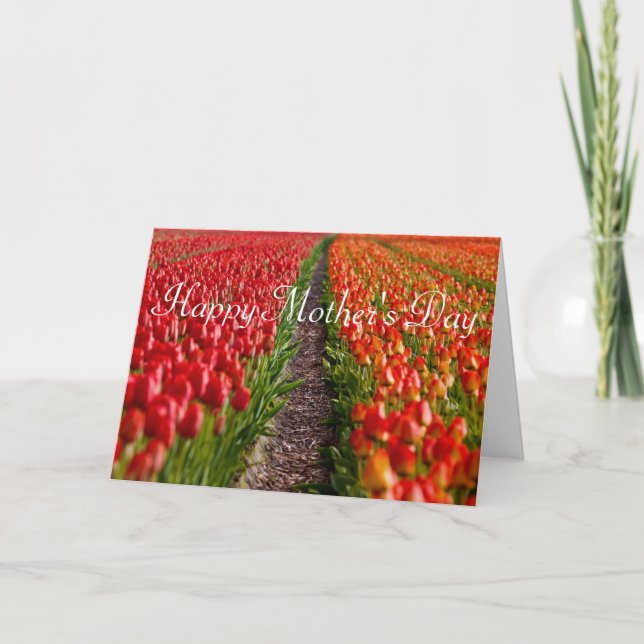 Red Tulip Field Mother's Day Card (Front)