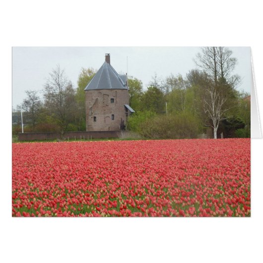 Red tulip fields and church (Front Horizontal)