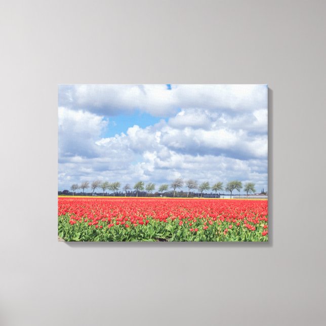 Red tulip fields view canvas print (Front)
