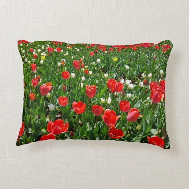 Red Tulip Flower Field Nature Photography Accent Pillow (Back)