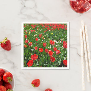 Red Tulip Flower Field Nature Photography Napkins
