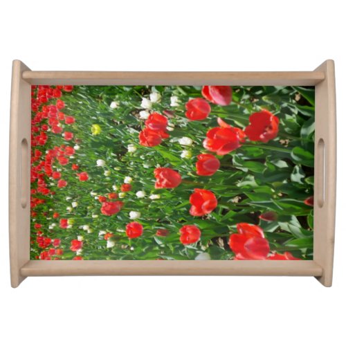 Red Tulip Flower Field Nature Photography Serving Tray
