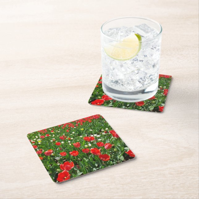 Red Tulip Flower Field Nature Photography Square Paper Coaster (Insitu)