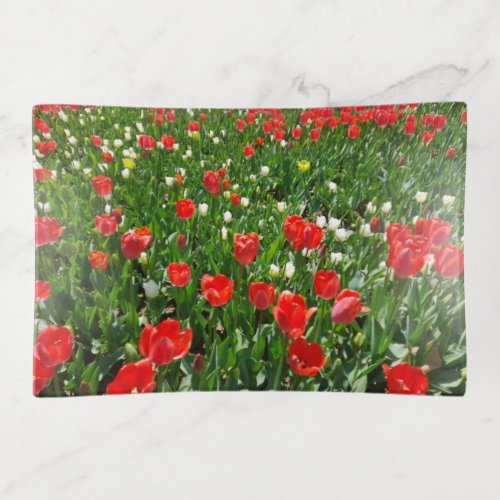 Red Tulip Flower Field Nature Photography Trinket Tray
