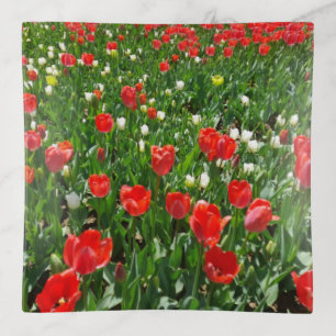 Red Tulip Flower Field Nature Photography Trinket Tray