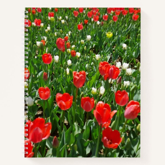 Red Tulip Flower Field Photo Notebook (Front)