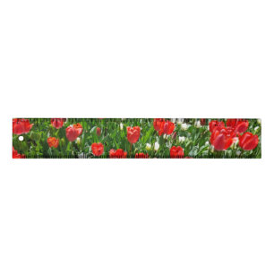 Red Tulip Flower Field Photo Ruler
