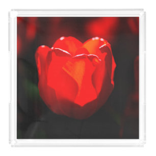 Red Tulip Flower - Fire Acrylic Tray