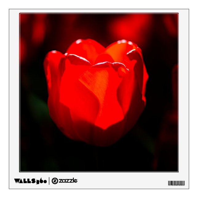 Red Tulip Flower - Fire Wall Decal (Front)