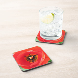 Red Tulip Flower Macro Photo Set of 6 Drink Coaster