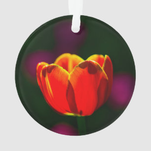 Red tulip flower ornament