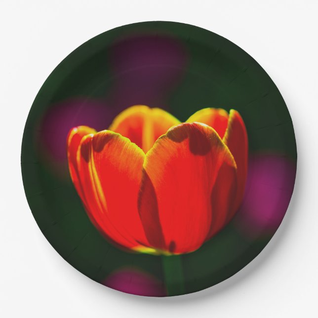 Red tulip flower paper plates (Front)
