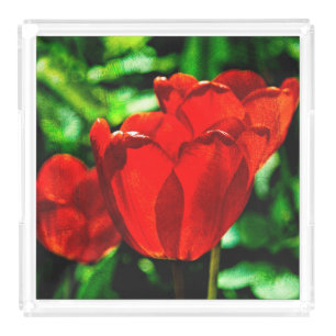 Red tulip flowers acrylic tray