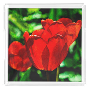 Red tulip flowers acrylic tray