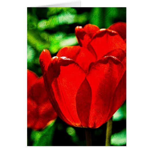 Red tulip flowers cards (Front)