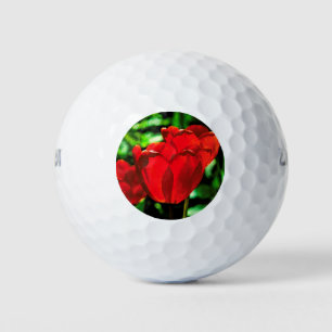 Red tulip flowers golf balls