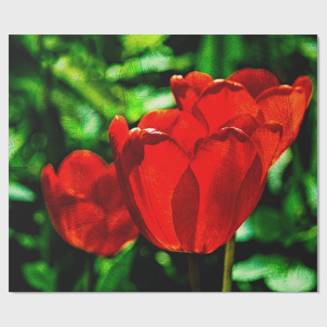 Red tulip flowers wrapping paper (Flat)