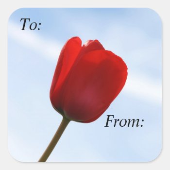 Red Tulip Gift Tag Sticker by lynnsphotos at Zazzle