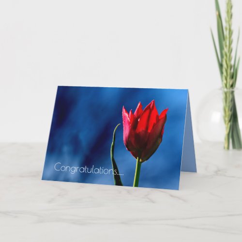 Red Tulip Happy Divorce Day Card