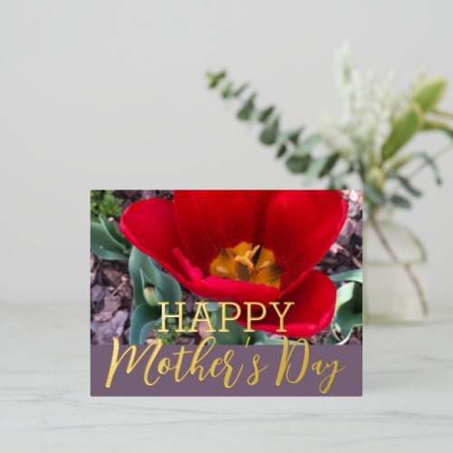 Red Tulip Happy Mothers Day Real Gold   Foil Holiday Postcard