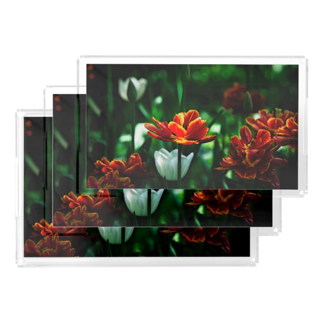 Red Tulip - His Majesty the King Acrylic Tray (Set)