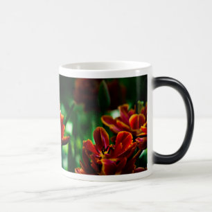 Red Tulip - His Majesty the King Color Morph Mug
