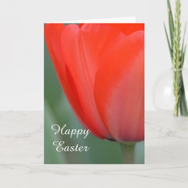 Red Tulip Holiday Card (Front)