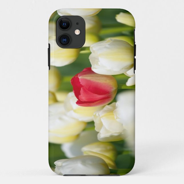 Red tulip in a field of white tulips Case-Mate iPhone case (Back)