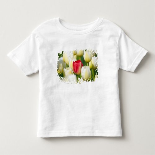Red tulip in a field of white tulips toddler t_shirt