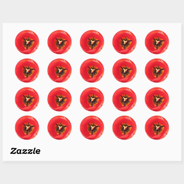 Red Tulip Macro Flower Photography Plate Classic Round Sticker (Sheet)