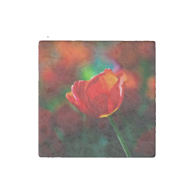 Red tulip - Mystery of blooming Stone Magnet (Second Magnet)