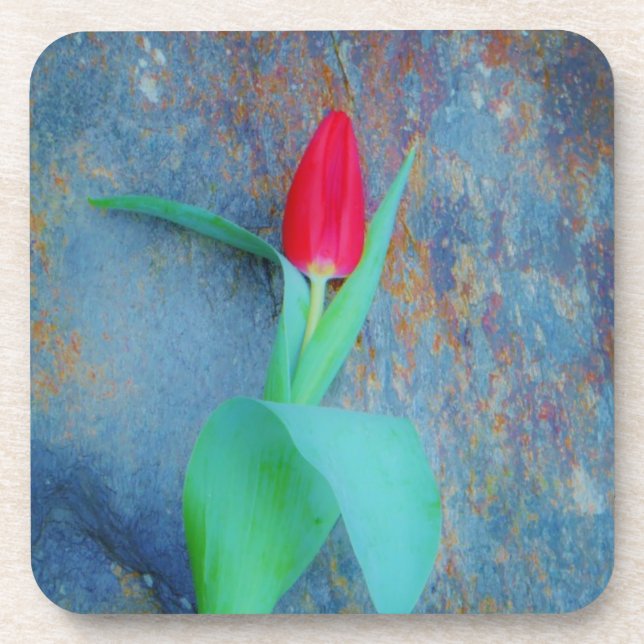 Red Tulip on Blue Grey Slate Beverage Coaster (Front)