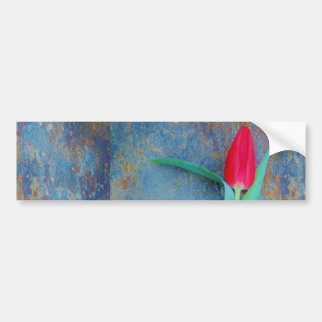 Red Tulip on Blue Grey Slate Bumper Sticker (Front)