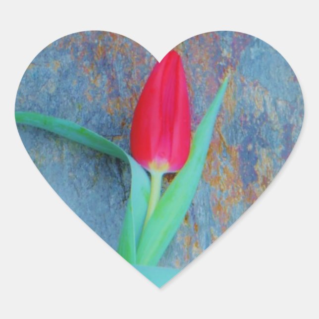 Red Tulip on Blue Grey Slate Heart Sticker (Front)