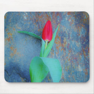 Red Tulip on Blue Grey Slate Mouse Pad