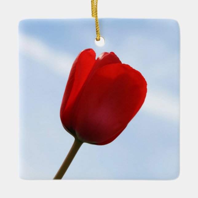 Red Tulip Ornament (Front)