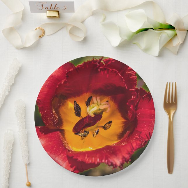 Red tulip paper plates (Wedding)
