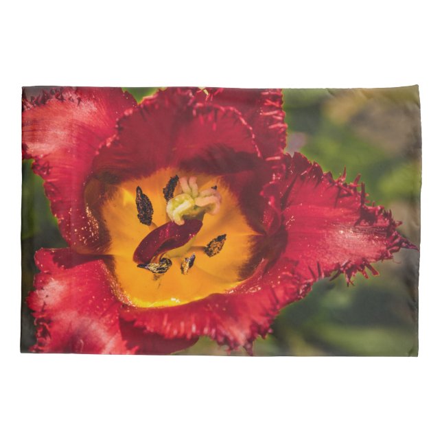 Red tulip pillow case (Back)