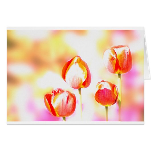 Red Tulip Quartet Cards (Front Horizontal)