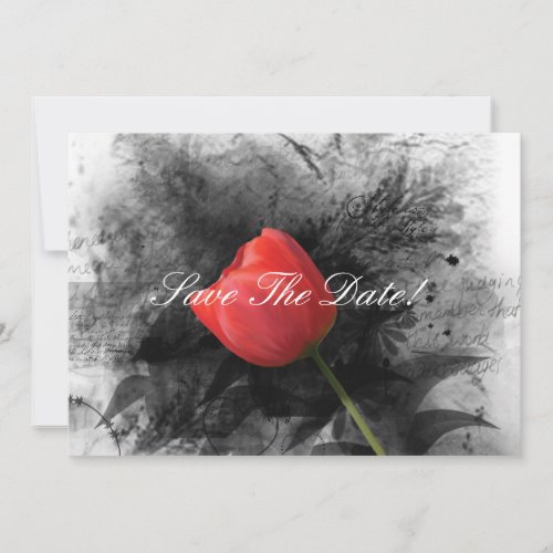 Red Tulip Save The Date