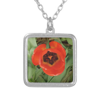 Red Tulip Silver Necklace
