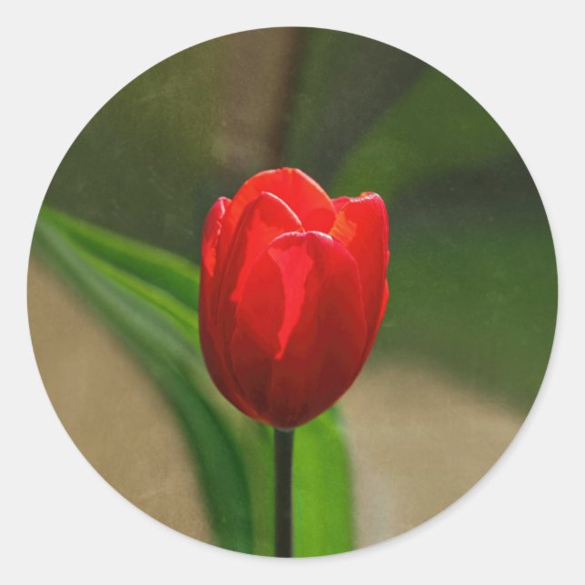 Red Tulip Spring Flower Classic Round Sticker (Front)